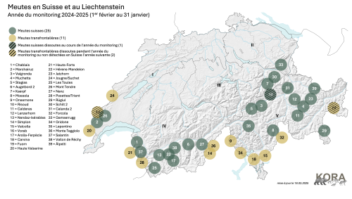 Meute actuellement identifiée en Suisse et au Liechtenstein