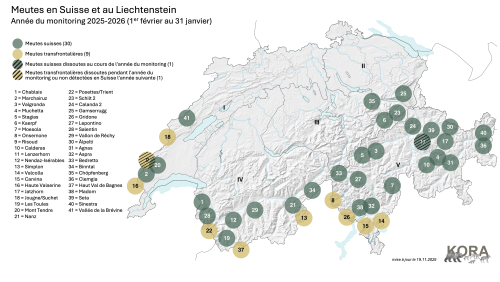 Meute actuellement identifiée en Suisse et au Liechtenstein