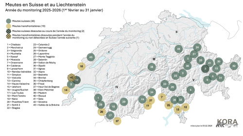 Meute actuellement identifiée en Suisse et au Liechtenstein