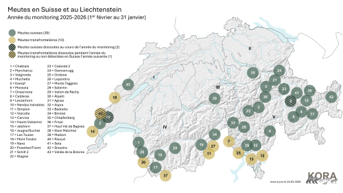 Meute actuellement identifiée en Suisse et au Liechtenstein