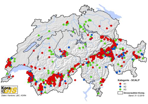 Présence avérée de loups en Suisse en 2019, présentée par catégorie SCALP 
