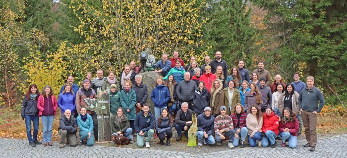 Eurowildcat © Nationalpark Bayerischer Wald