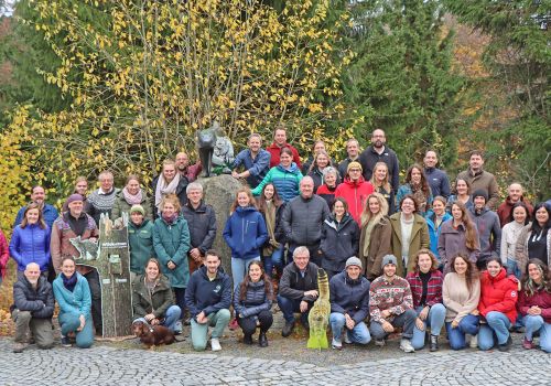 Eurowildcat © Nationalpark Bayerischer Wald