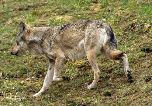 Früheres Bild von F07 © Charly Gurt