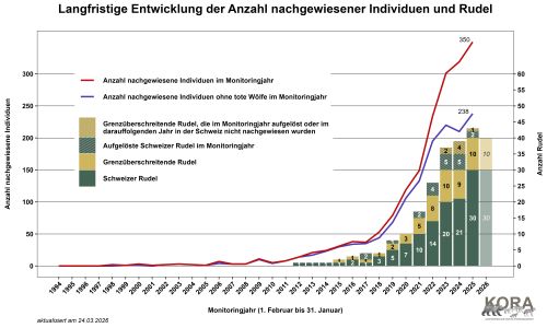Langfristige Entwicklung Anzahl nachgewiesener Wölfe und Rudel in der Schweiz und in Liechtenstein