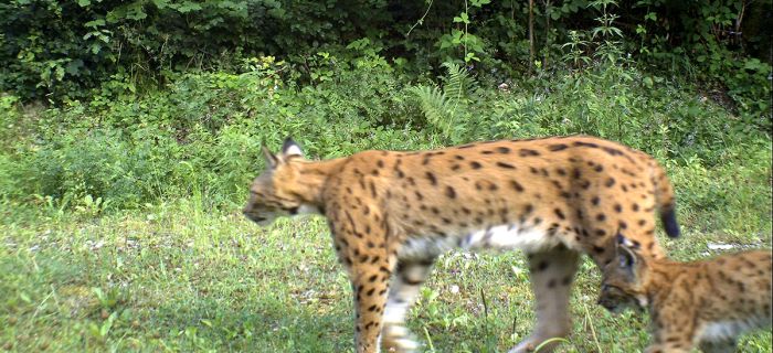 © Henrioux Pierre/Canton de Vaud