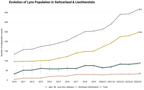 Development of the lynx numbers in Switzerland (2010-2024/25): From 2020/21, the presentation is based on the biological year. The survey periods then extend from 1 May of the previous year to 30 April of the following year. © KORA