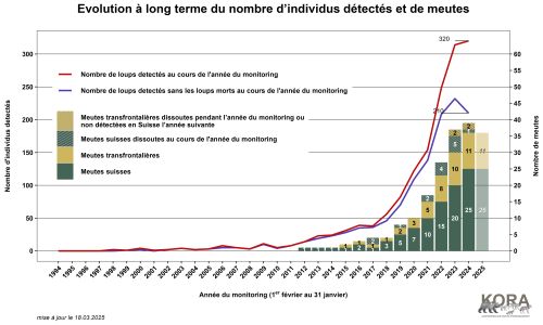 Evolution à long terme du nombre d’individus détéctés et de meutes en Suisse et au Liechtenstein