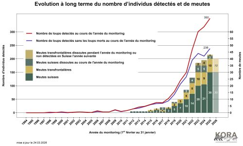 Evolution à long terme du nombre d’individus détéctés et de meutes en Suisse et au Liechtenstein