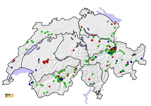 Présence avérée de loups en Suisse en 2014, présentée par catégorie SCALP 