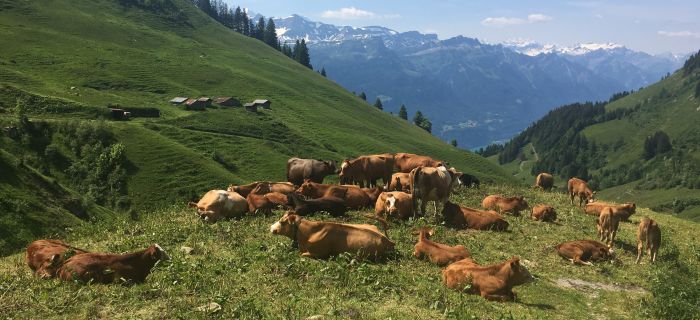 © Evelyn Böttinger