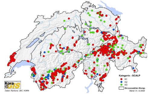 Présence avérée de loups en Suisse en 2020, présentée par catégorie SCALP 