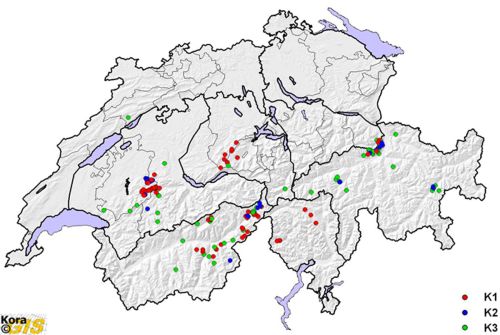 Présence avérée de loups en Suisse en 2011, présentée par catégorie SCALP 