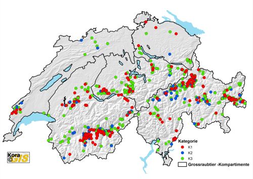 Présence avérée de loups en Suisse en 2017, présentée par catégorie SCALP 