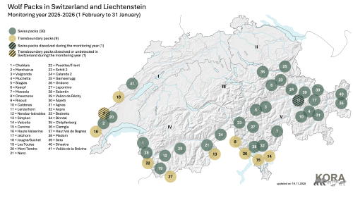 Current evidence of packs in Switzerland and Liechtenstein 
