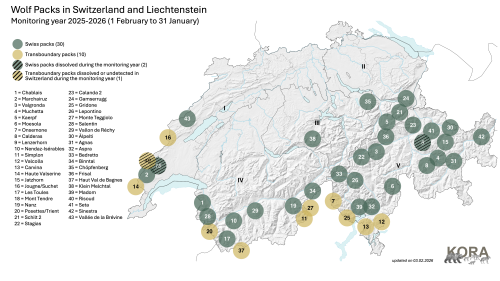 Current evidence of packs in Switzerland and Liechtenstein 