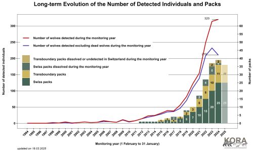 Long term evolution of the number of detected individuals and packs in Switzerland and Liechtenstein