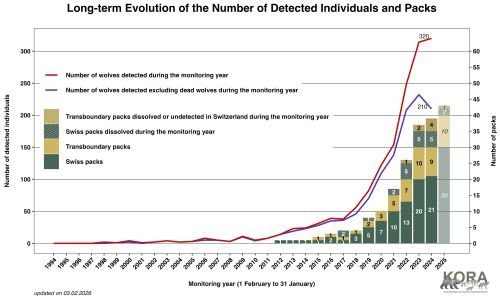 Long term evolution of the number of detected individuals and packs in Switzerland and Liechtenstein