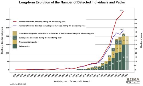 Long term evolution of the number of detected individuals and packs in Switzerland and Liechtenstein