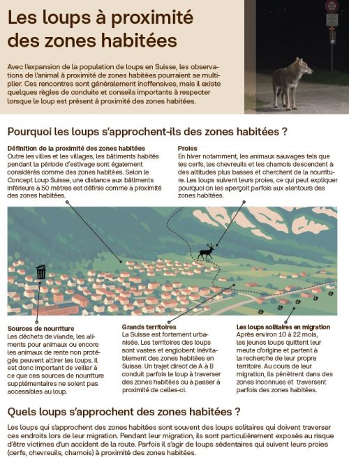 Fiches d'information « Les loups à proximité des zones habitées »