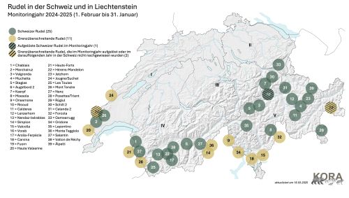 Aktuelle Nachweise von Wolfs-Rudel und -Paaren in der Schweiz inkl. Beschriftung