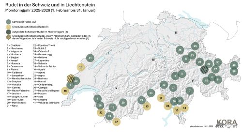 Aktuelle Nachweise von Wolfs-Rudel und -Paaren in der Schweiz inkl. Beschriftung