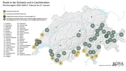 Aktuelle Nachweise von Wolfs-Rudel und -Paaren in der Schweiz inkl. Beschriftung