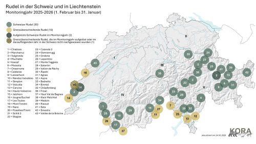 Aktuelle Nachweise von Wolfs-Rudel und -Paaren in der Schweiz inkl. Beschriftung