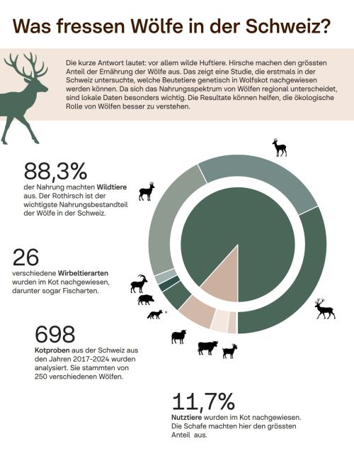 Faktenblatt «Nahrungsspektrum der Wölfe in der Schweiz»