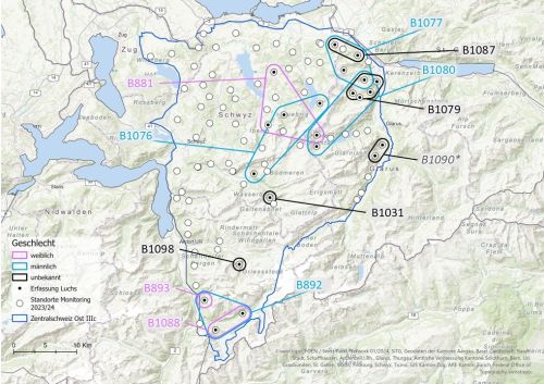 Distribuzione spaziale delle linci fotografate durante il passaggio. blu: maschi; rosa: femmine; nero: sesso sconosciuto. ©KORA