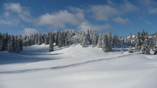 Switzerland contains a variety of habitats that support the protected large carnivores. KORA is tasked by the Federation and the cantons to monitor them, as here in the wintery Jura mountains. 