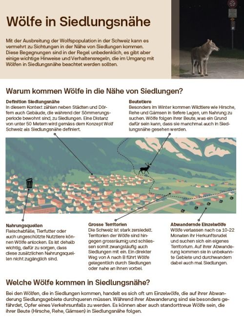 Faktenblatt «Wölfe in Siedlungsnähe»