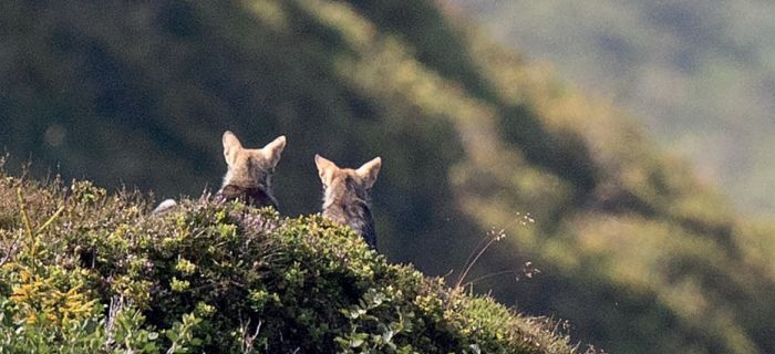 © Bildagentur Monn/Ervin Monn 