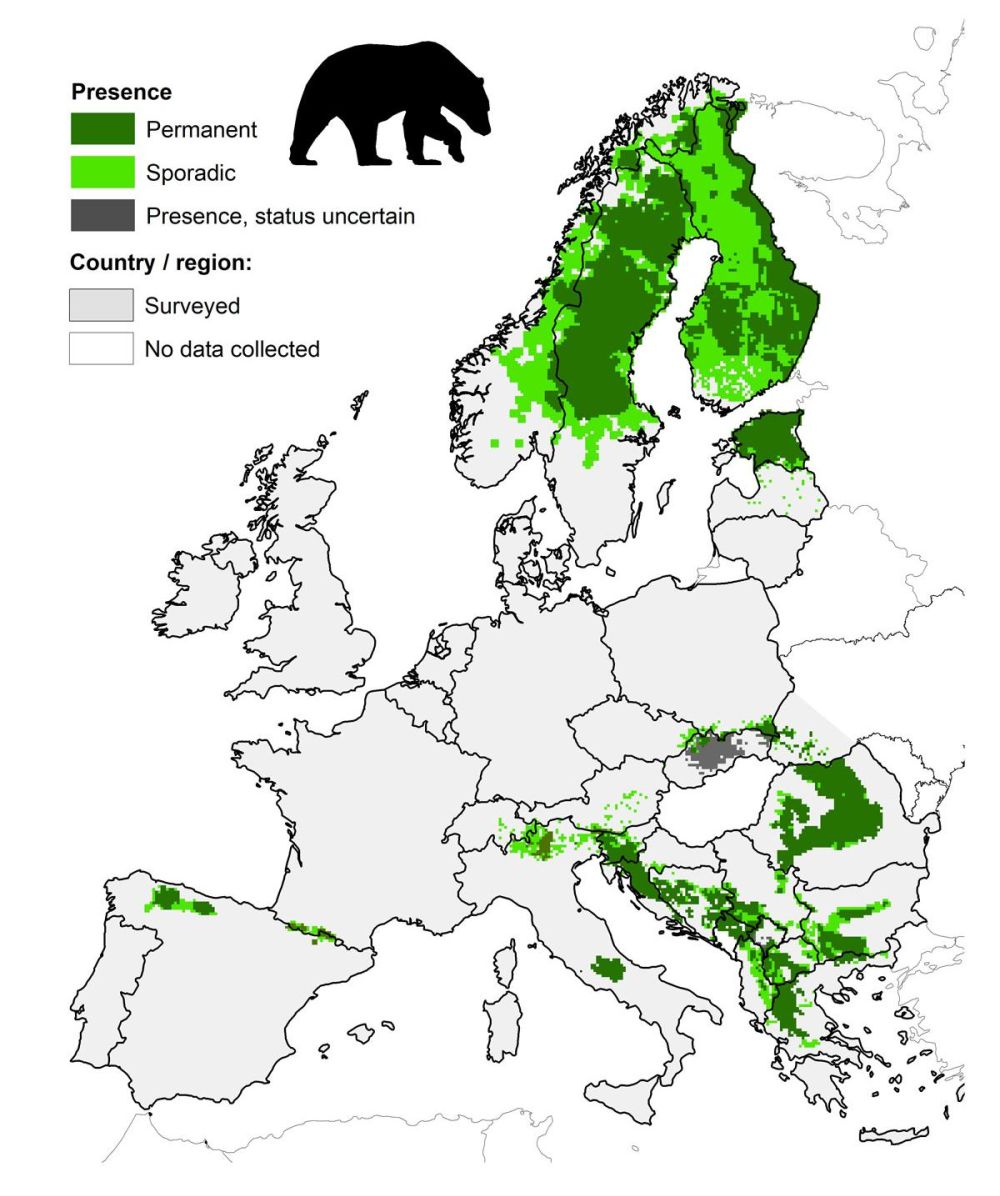 VERBREITUNG | KORA – Raubtierökologie und Wildtiermanagement - KORA