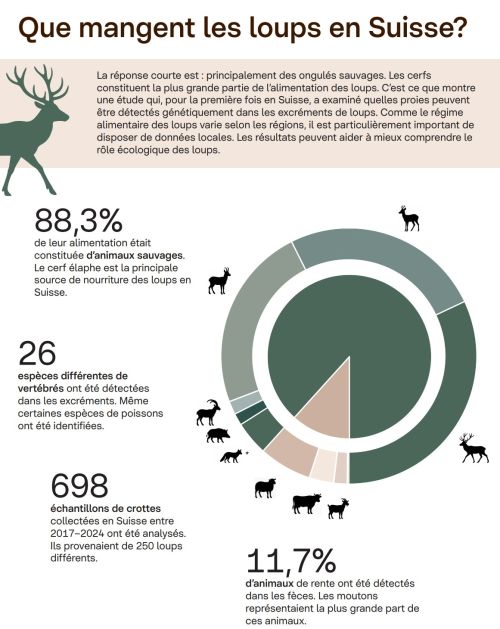 Fiches d'information « le régime alimentaire des loups en Suisse »