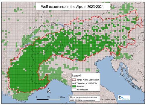 Occurrence du loup et unités de reproduction dans les Alpes 2023-2024 (©Wolf Alpine Group)