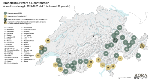 Attuale evidenza dei branchi in Svizzera e nel Liechtenstein 