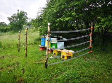 Protection par clôtures électriques 