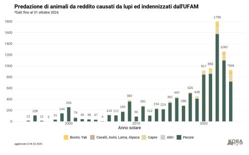 Predazioni sui animali da reddito causati da lupi in Svizzera ed indennizzati dall'UFAM in conformità con l'Allegato 7 del Concetto Lupo. I dati di novembre e dicembre 2024 non sono ancora inclusi. Fonte: © UFAM, Grafica: © KORA