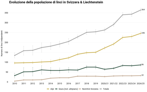 Sviluppo della popolazione di lince in Svizzera (2010-2024/25): A partire dal 2020/21, la presentazione si basa sull'anno biologico. I periodi di rilevamento si estendono quindi dal 1° maggio dell'anno precedente al 30 aprile dell'anno successivo. © KORA 