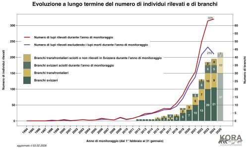 Evoluzione a lungo termine del numero du individui rilevati e di branchi in Svizzera e nel Liechtenstein