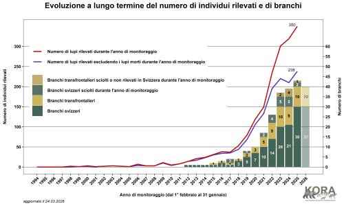 Evoluzione a lungo termine del numero du individui rilevati e di branchi in Svizzera e nel Liechtenstein