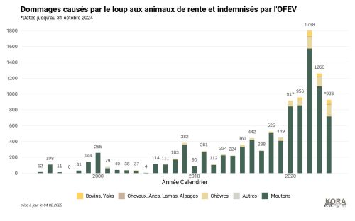 Dégâts aux animaux de rentes causés en Suisse par le loup et indemnisés par l’OFEV conformément au Concept Loup, annexe 7. Les données de novembre et décembre 2024 ne sont pas encore incluses. Source: ©OFEV / graphique: ©KORA