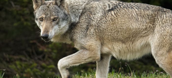 F07 fotografiert von © Charly Gurt